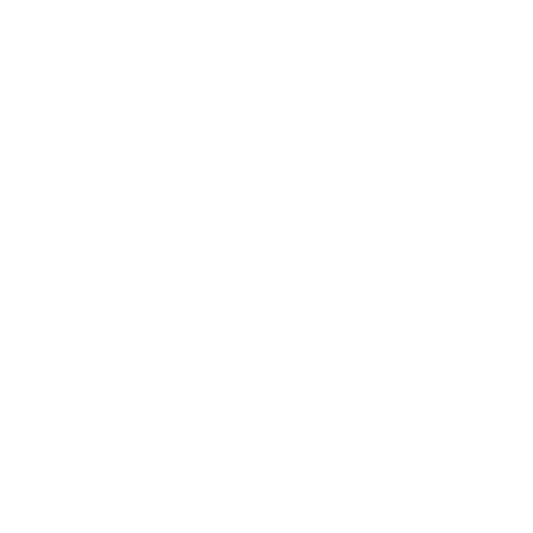 Xero Partner
